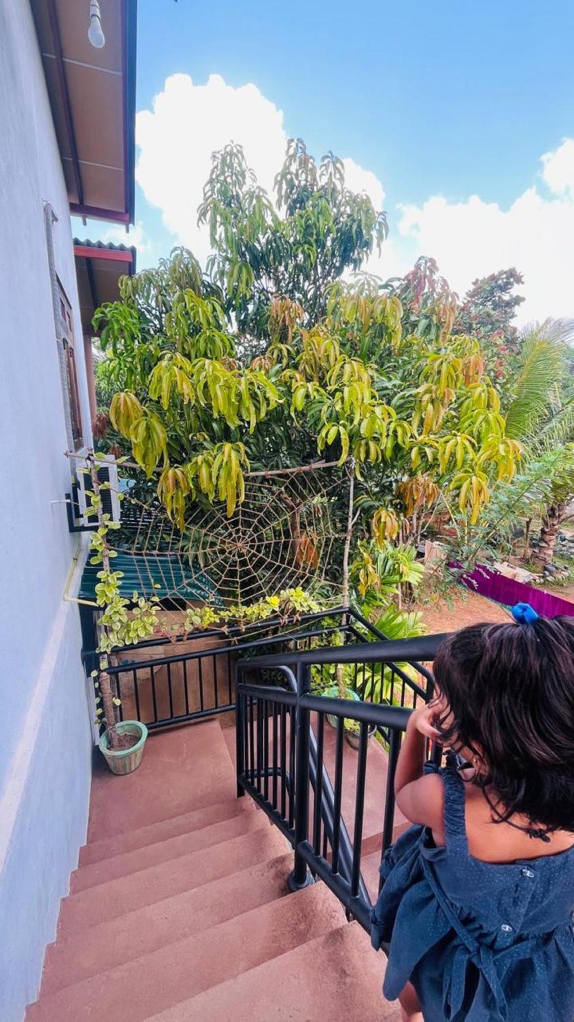 Dew Ashi Homestay Sigiriya Eksteriør bilde