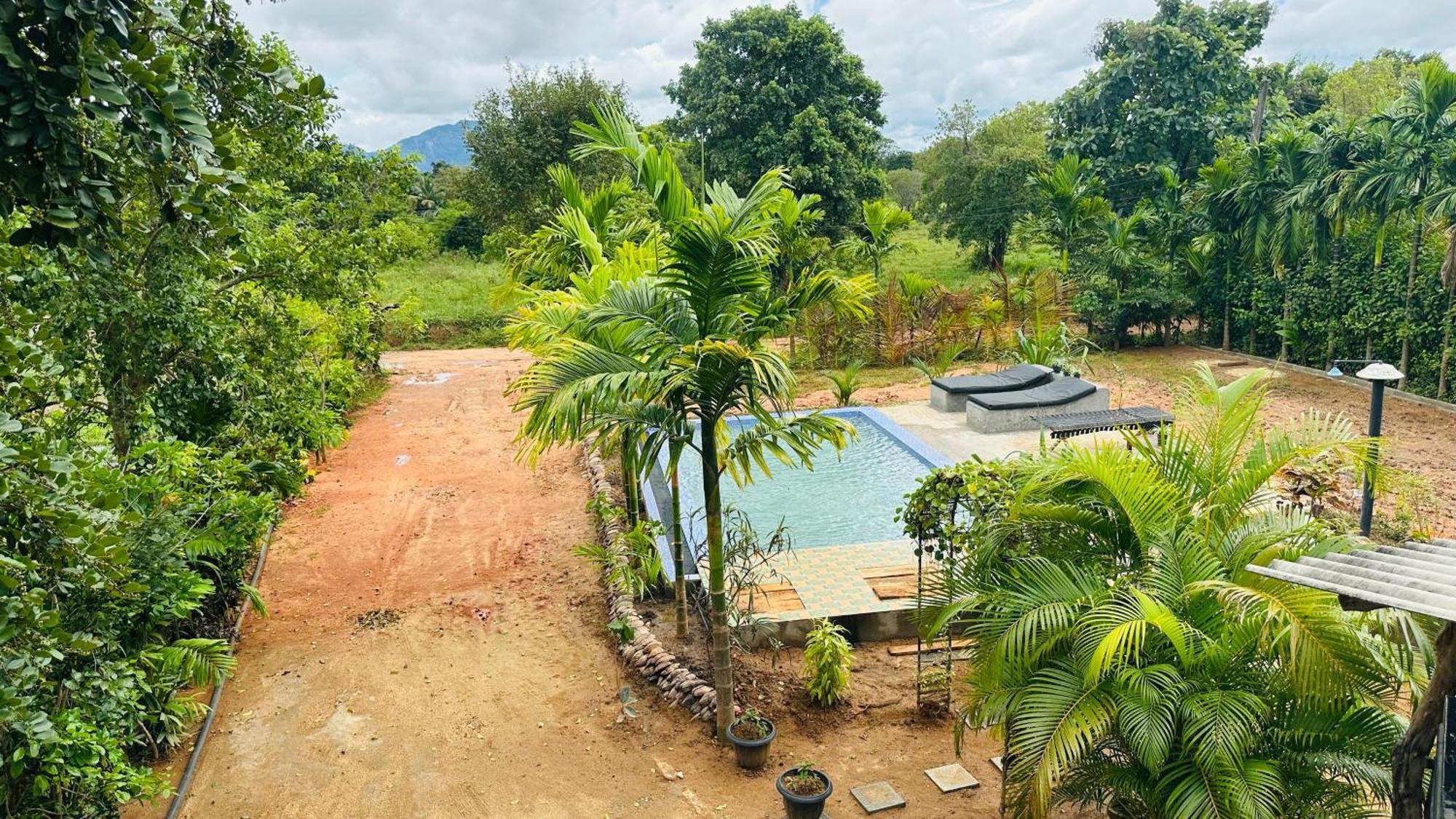 Dew Ashi Homestay Sigiriya Eksteriør bilde