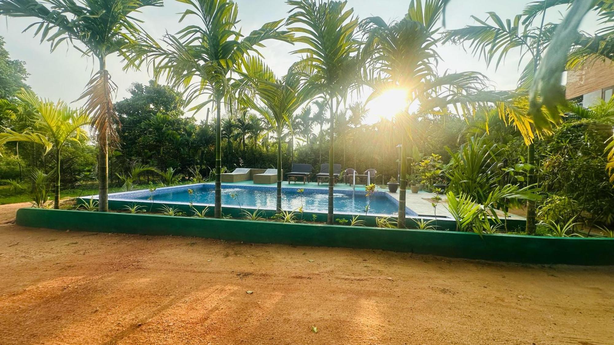 Dew Ashi Homestay Sigiriya Eksteriør bilde