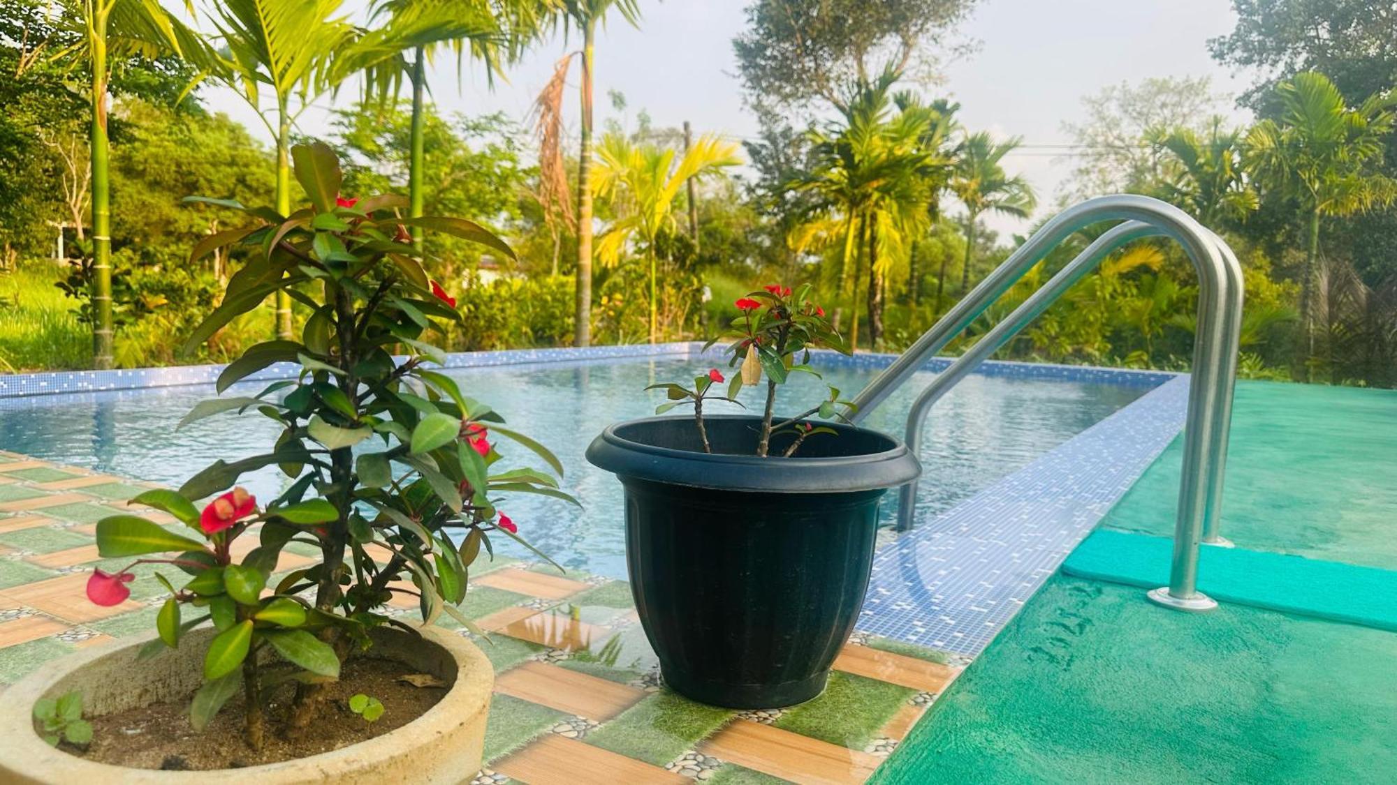 Dew Ashi Homestay Sigiriya Eksteriør bilde