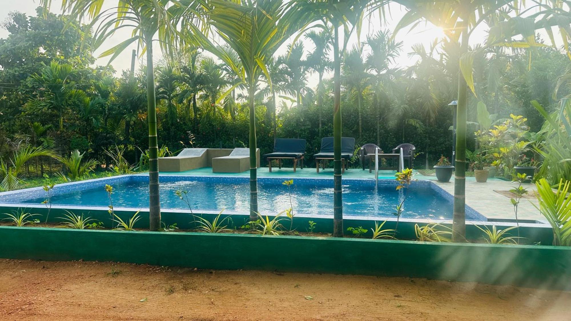 Dew Ashi Homestay Sigiriya Eksteriør bilde