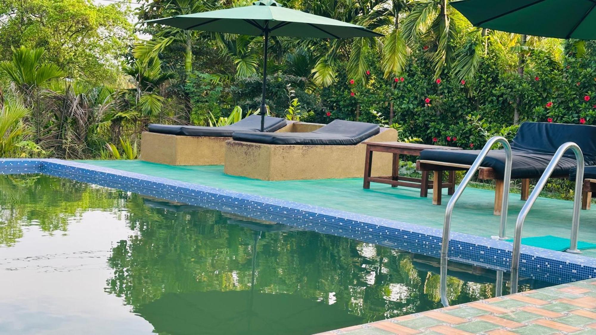 Dew Ashi Homestay Sigiriya Eksteriør bilde